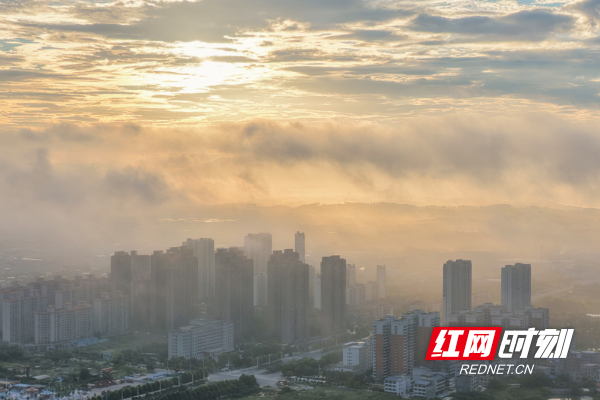 DJI_20250614061012_0049_D 拷贝.jpg