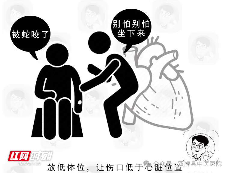 图片10.png