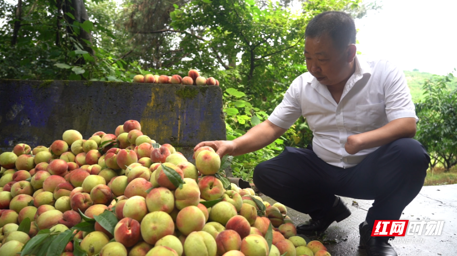 57209770384a2049abe4e446b618a83576d351e81749094360692.png 57209770384a2049abe4e446b618a83576d351e81749094360692.png