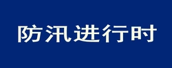 防汛进行时