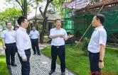 许忠建在洪江市、洪江区调研省旅发大会重点项目建设