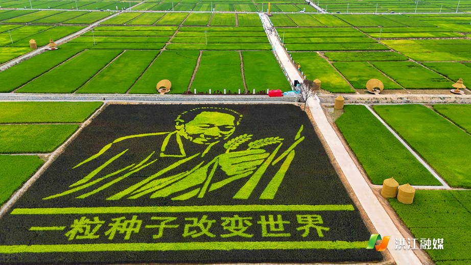 微信图片_20240920215929.jpg