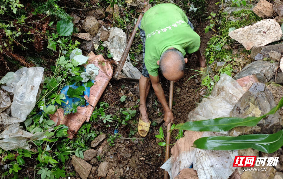 图片4.png 图片4.png