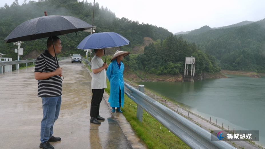 鹤城区：强化山塘水库监管 筑牢汛期安全防线.mp4_000024.407.png