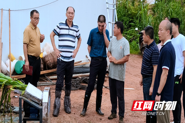 李飞跃一行听取养鹅情况汇报.jpg