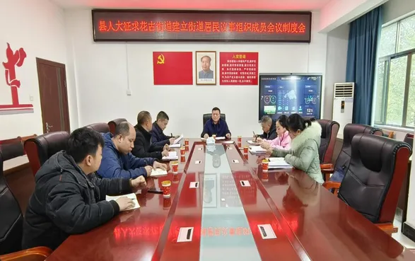 践行全过程人民民主的破冰行动——洞口填补制度空白开居民议事会先河侧记