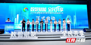2025年湖南省全民数字素养与技能提升月启动
