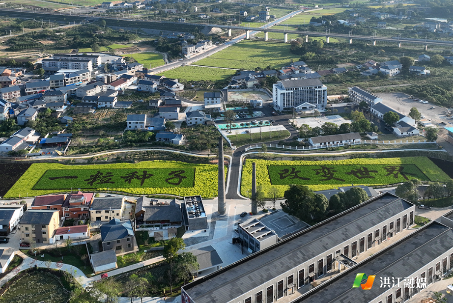 DJI_0385副本.jpg