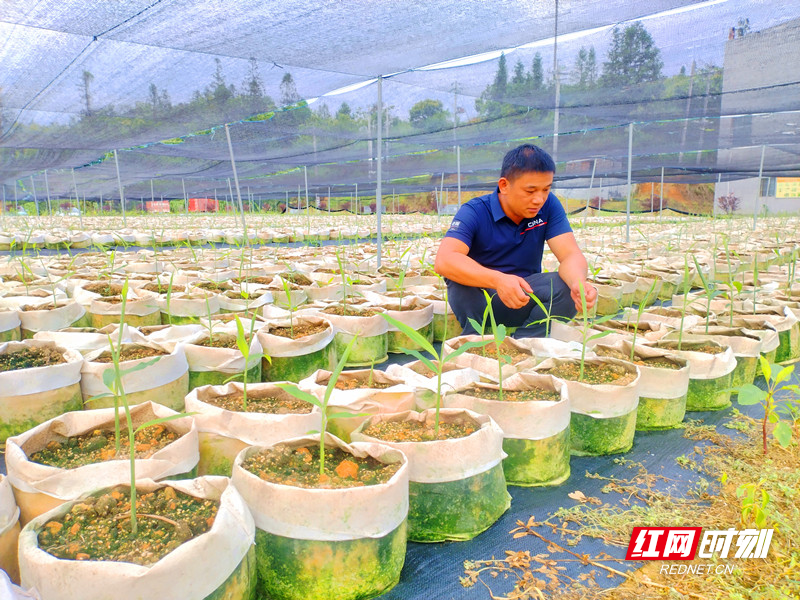 微信图片_20250627145639_副本_副本.jpg