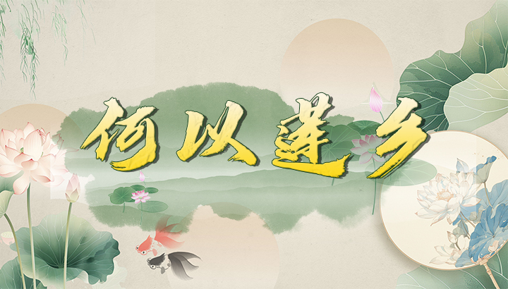 何以莲乡