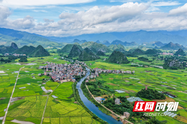 DJI_20250701085246_0002_D 拷贝.jpg