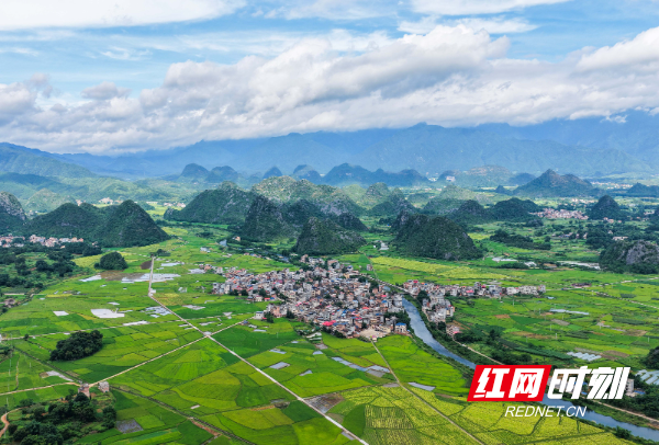 DJI_20250701085336_0004_D 拷贝.jpg