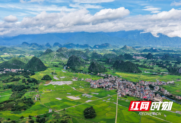 DJI_20250701085453_0007_D 拷贝.jpg