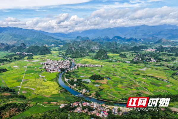 DJI_20250701090428_0018_D 拷贝.jpg