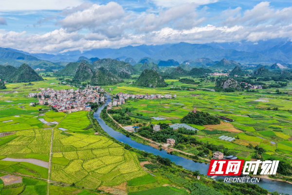 DJI_20250701090734_0024_D 拷贝.jpg