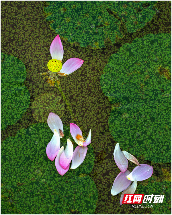 _HUA0474-.jpg
