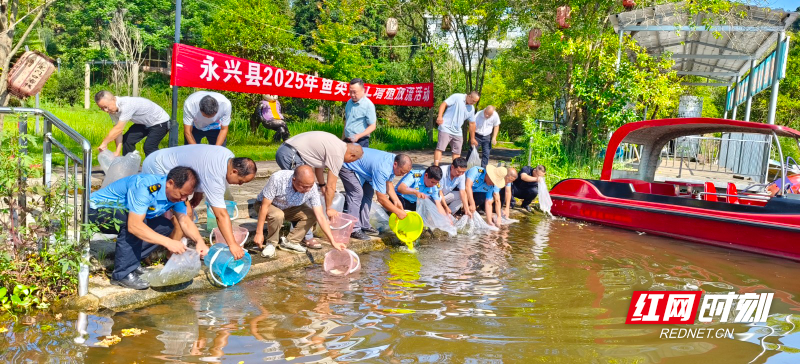 畜牧.jpg