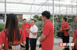 湖南农业大学博士团深入隆回田间地头，助力当地特色产业升级