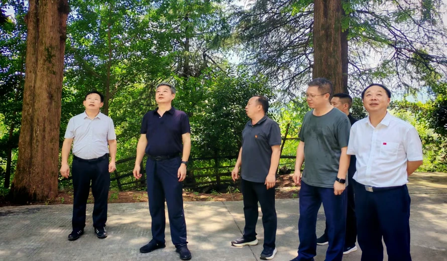 严华在隆回县巡林并暗访督导乡村振兴、学生防溺水等工作