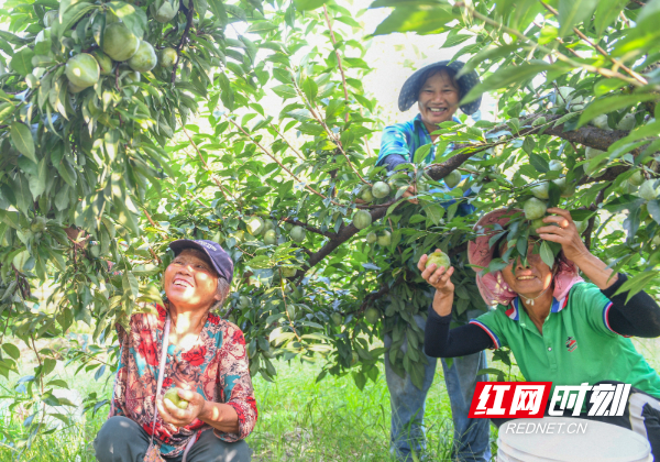 DSC_1347 拷贝.jpg