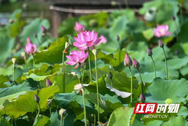DSC_1402 拷贝.jpg