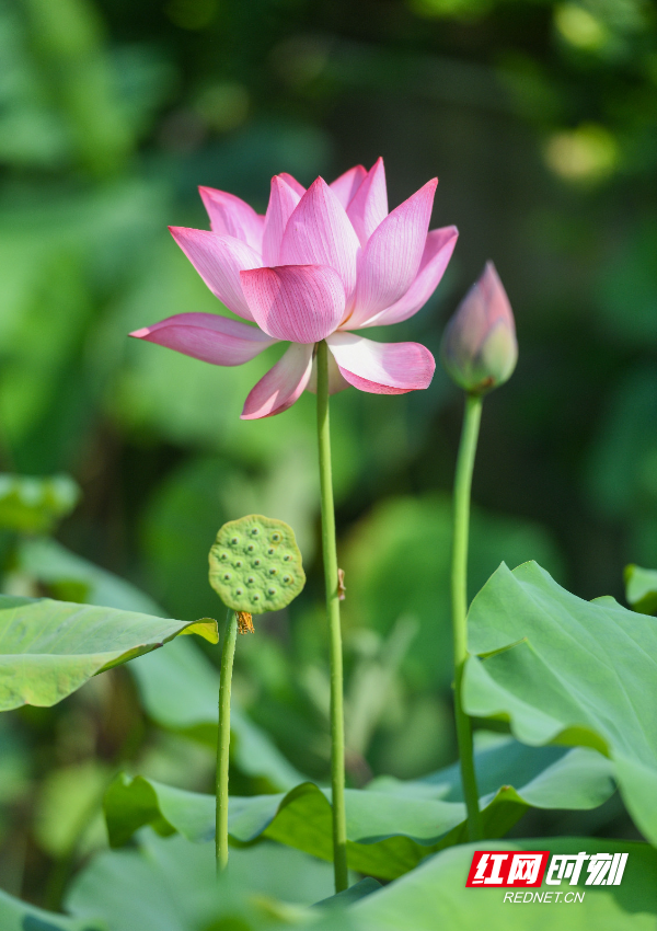 DSC_1403 拷贝.jpg