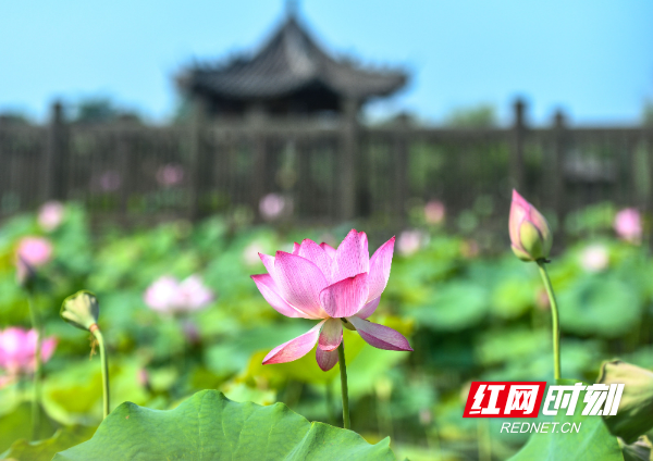 DSC_1410 拷贝.jpg