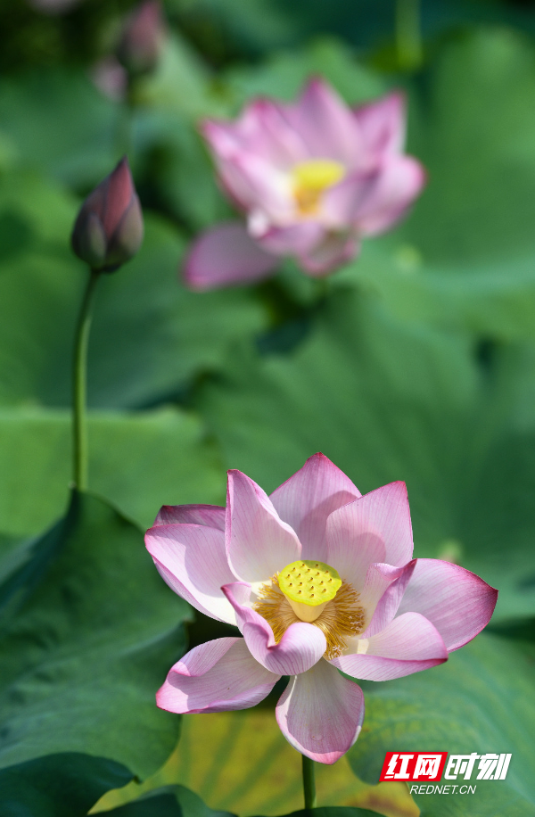 DSC_1413 拷贝.jpg