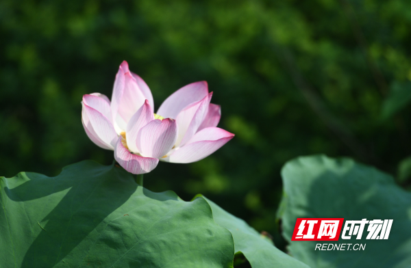 DSC_1415 拷贝.jpg