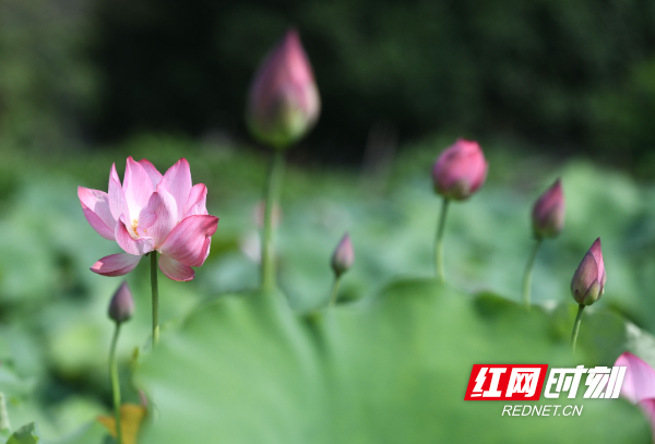 DSC_1419 拷贝.jpg