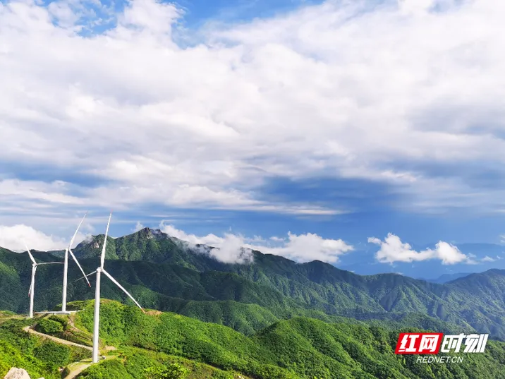 邮储银行郴州市分行：“风电贷”点绿成金 助力仰天湖实现生态经济双丰收