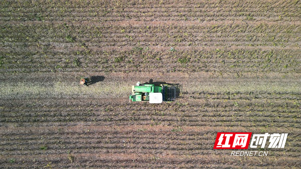 DJI_0687.JPG