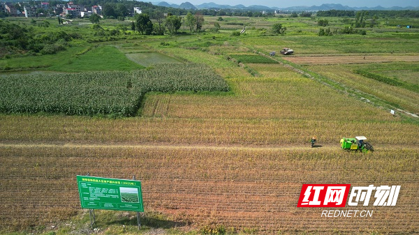 DJI_0690.JPG