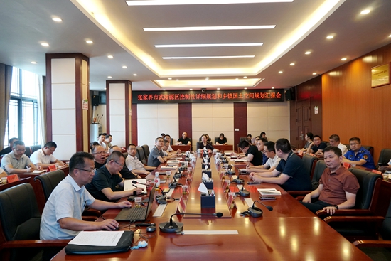 武陵源区控制性详细规划和乡镇国土空间规划汇报会召开