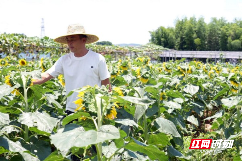 微信图片_20250711102610.jpg