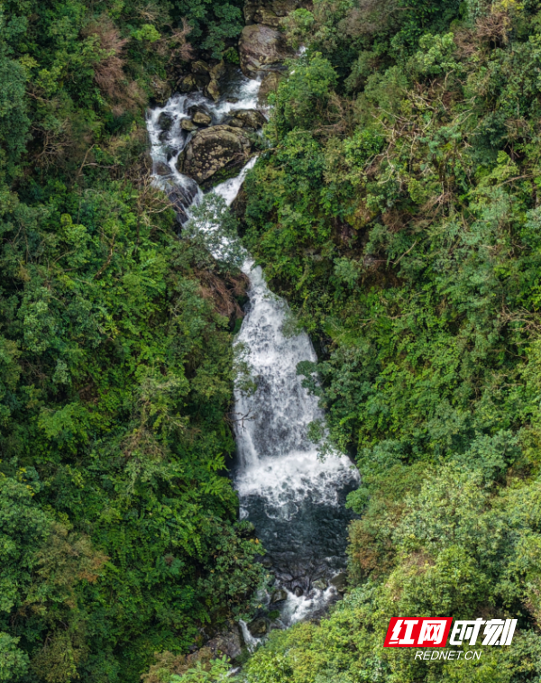 DJI_20250713103540_0090_D 拷贝.jpg