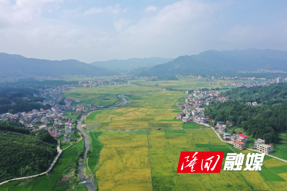 DJI_0790.JPG