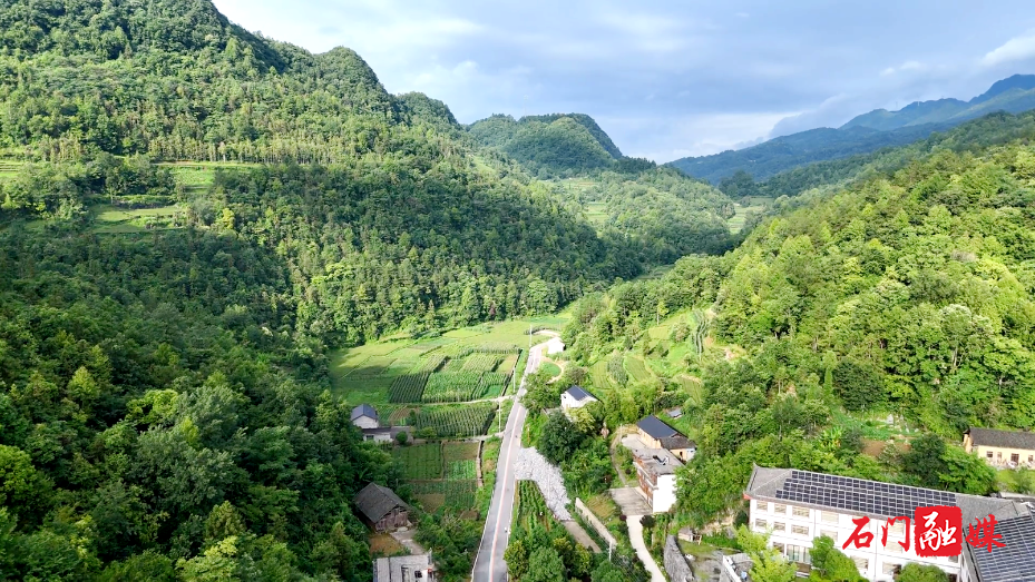 优秀驻村第一书记范文：扎根山乡绘新景2.png