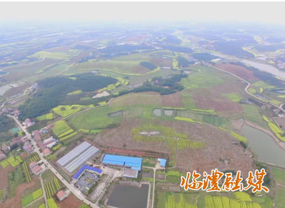 wechat_2025-07-14_170255_603.png
