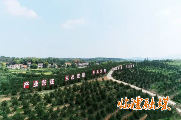 wechat_2025-07-14_170356_978.png