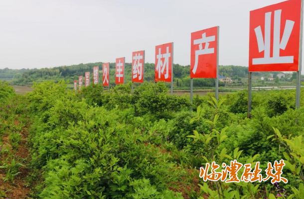 wechat_2025-07-14_170316_539.png