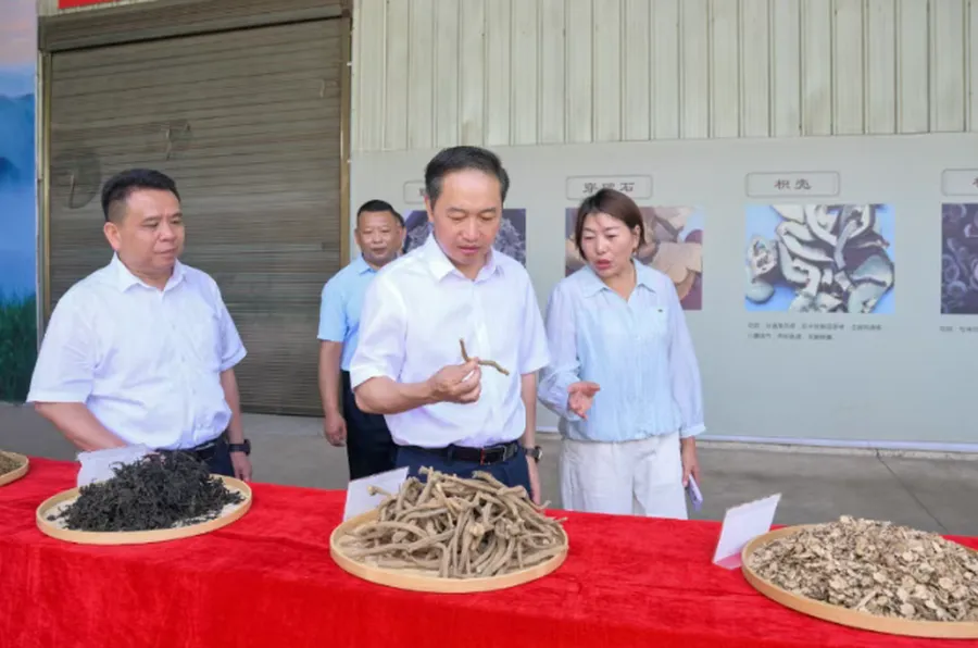 持续推进“六大新行动” 全面彰显“七个新担当”督战进行时：守底线 保安全 兴产业 助振兴