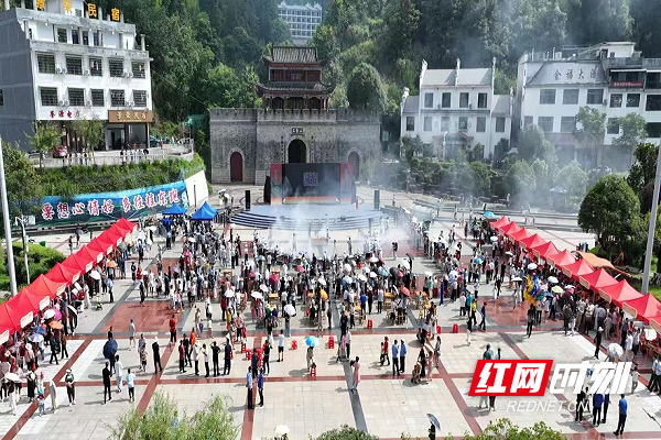 图片 1.png