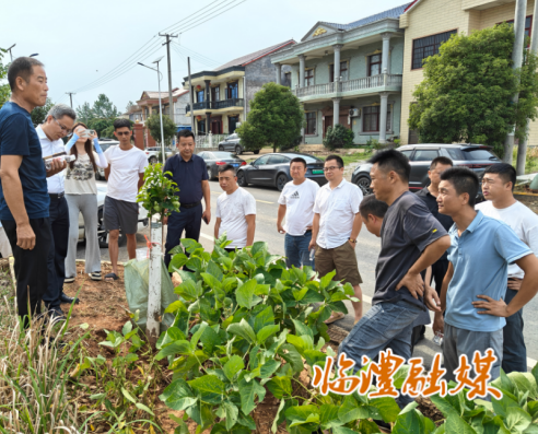 wechat_2025-07-22_111643_330.png
