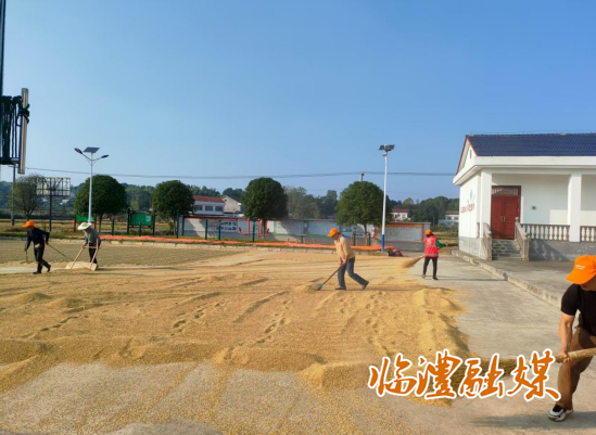wechat_2025-07-25_164124_015.png