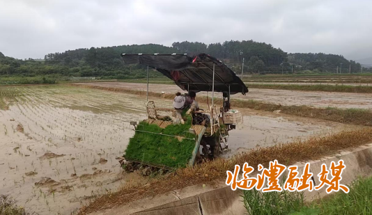 wechat_2025-07-25_164133_765.png