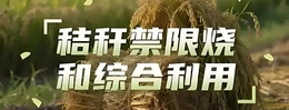 秸秆禁限烧和综合利用