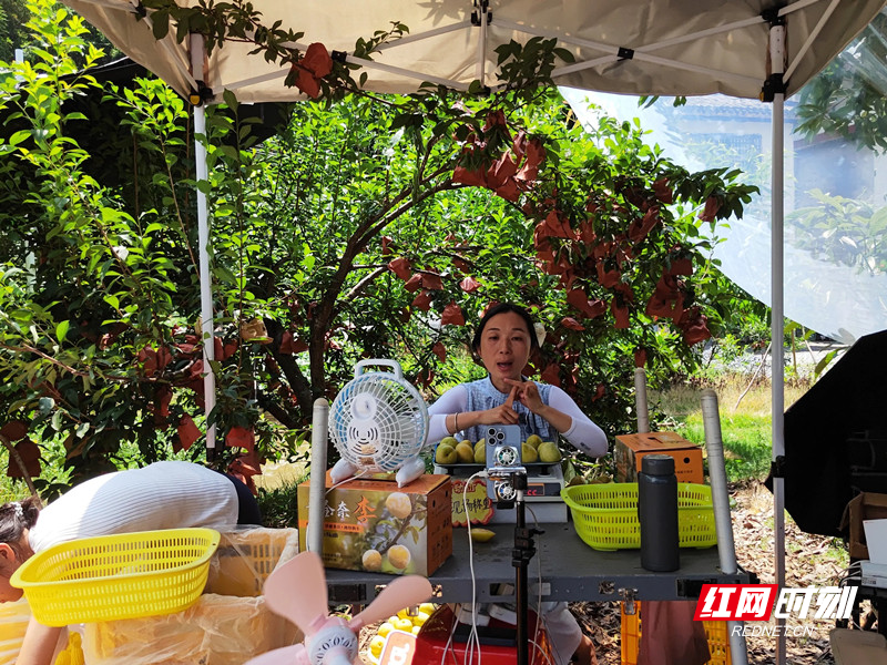 wm_90544779261661008_5de9cffc-7d10-4f88-a102-f78a7716e612_副本.jpg