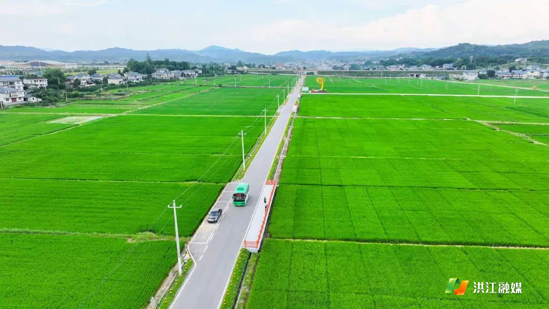 微信图片_2025-07-27_201900_223.jpg