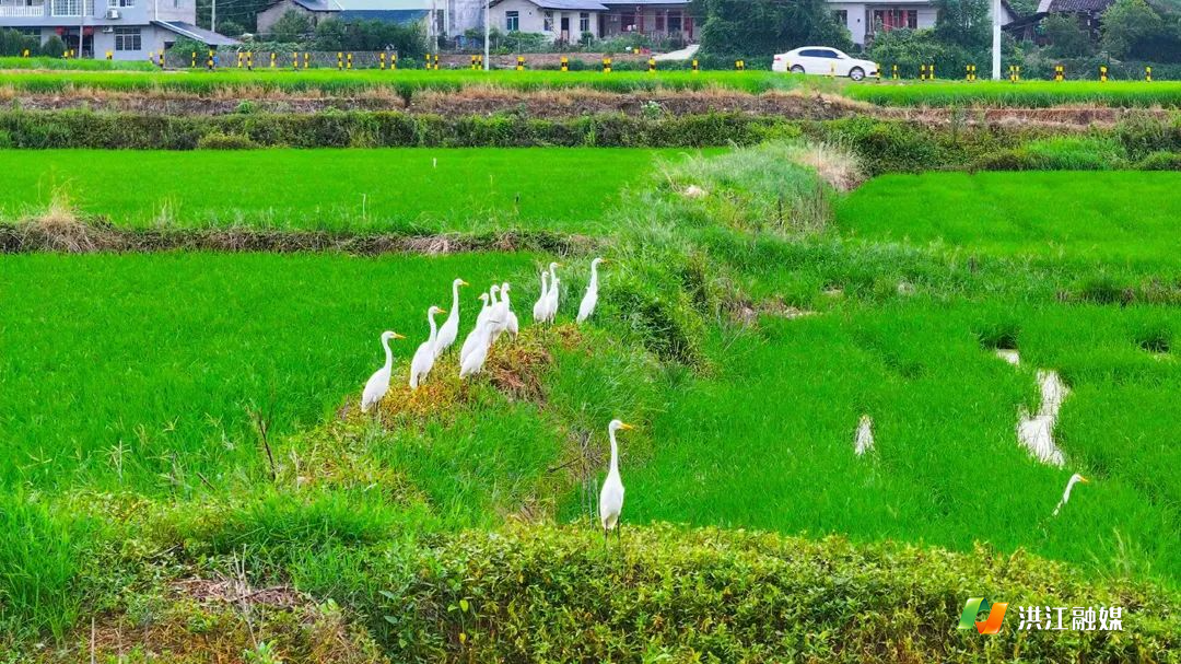 微信图片_2025-07-27_201906_578.jpg